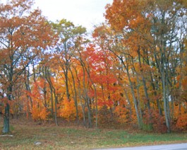 Colors-2 Breathtaking