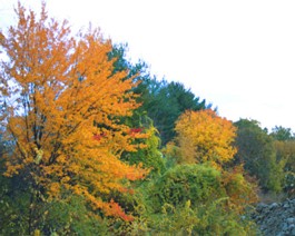 Colors-3 Can't put it in words