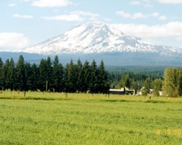 Adams-View-2