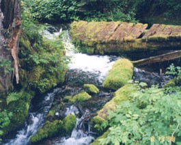 Baker-Hike-Stream-2