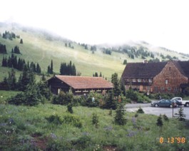 Rainier-N-Meadow-1