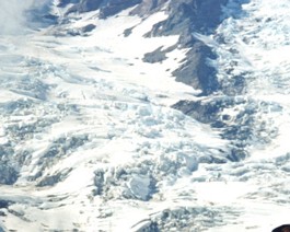 Rainier-S-Chipmunk