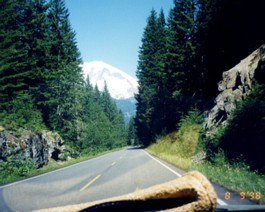 Rainier-S-View-2