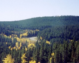 Wyoming-2