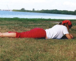 Florida-Claire-Grass