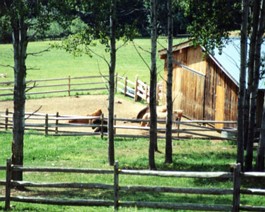HorseFarm