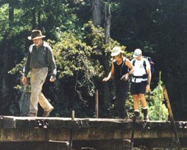 Kulang-Bridge-Group
