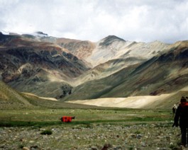 SarchuPlains-02