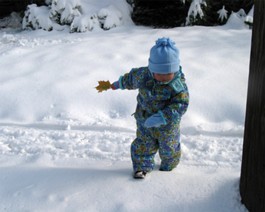 NovStorm-IMG_0063
