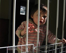 Elsie_IMG_0224_lg