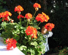Flowers_IMG_0004_lg