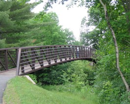 Bridge_IMG_0596_lg
