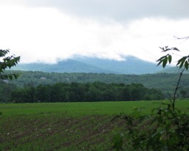 Vermont_IMG_0597_lg