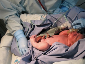 Theo Arrival